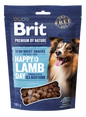 BRIT Premium by Nature Félnedves jutalomfalat kutyáknak Bárányhús homoktövissel 180 g