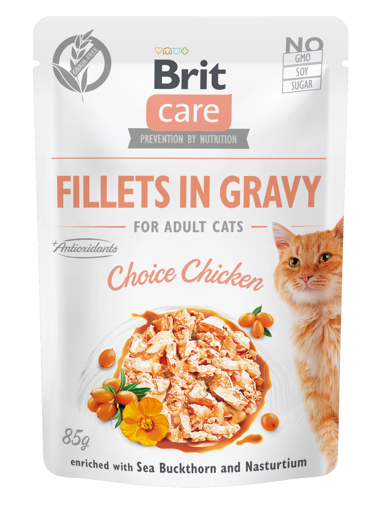 Brit Care Gravy CSIRKE