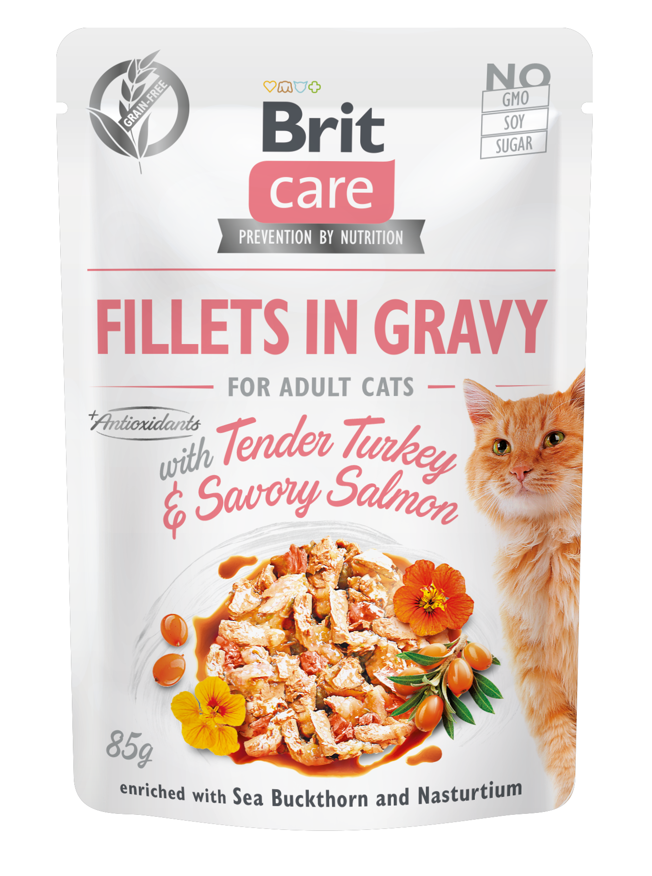 Brit Care Gravy PULYKA & LAZAC